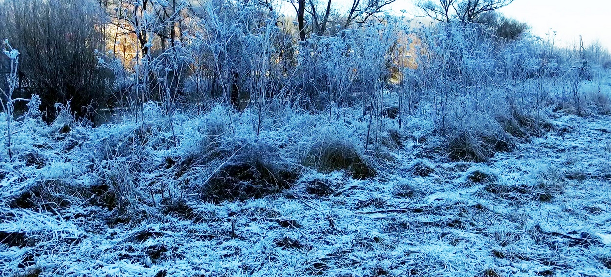Mráz pri rieke - Frost near river 2016